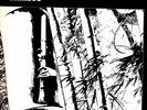1lp skk(u)3001 minoru muraoka bamboo new emotional work series vnl ex- cvr ex