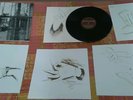 Paul McCartney chaos and creation in the backyard lp