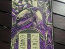 QUEENS OF THE STONE AGE Ken Taylor Silk Screen Poster