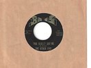 THE OTHER FIVE 45  You Really Got Me / Better Come Home  (Kinks cover) - NM