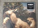 INTERPOL Our Love to Admire 10th Anniversary LIMITED WHITE SMOKE 2 LP VINYL NEW