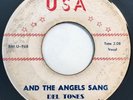 * DEL TONES And The Angels Sang / Please Talk To Me RARE DOO WOP R&B usa 45 HEAR