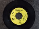 LEFTY AND LEADSMEN Wildwood Fun GO AND CE M- listen  GARAGE