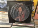 RARE LED ZEPPELIN PICTURE DISC 