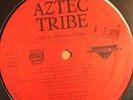 Aztec Tribe-Do You Wanna Funk/caught Slippin 12 Single