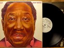 WHITE LABEL PROMO BLUES LP: MUDDY WATERS I'M READY 1978 Blue Sky JZ 34928