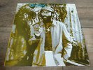 Desi Roots - Doing It Right 1980 UK LP HAWKEYE