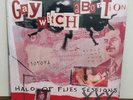 GAY WITCH ABORTION Halo Of Flies vinyl 10
