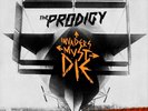 The Prodigy-Invaders Must Die  Vinyl / 12