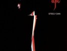 Steely Dan -  aja(30th Anniversary All Analog HQ-180 LP Numbered), 2007 Cisco