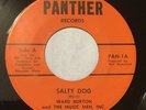 WARD BURTON Salty Dog/If'n 45 Panther South Carolina garage soul