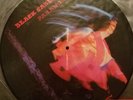 BLACK SABBATH**PARANOID**LTD PICTURE DISC LP**EARMARK  2003** rare import