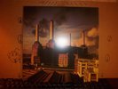 Pink Floyd Animals Mint Con.Record LP Album Vinyl(767) Blue/White Mirror Finish