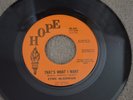 SYNG McGOWAN  - THAT'S WHAT I WANT  - HOPE  - US ORIGINAL 7