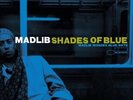 LP-DJ MADLIB - SHADES OF BLUE -LP- NEW VINYL RECORD