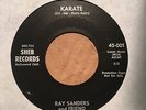 Ray Sanders - Karate / You're Puttin 45 RARE Tittyshaker Rockabilly Sheb 005 EX