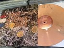 MINT STONE ROSES DEBUT LP ON ORANGE VINYL LTD ED IAN BROWN RENI MANI JOHN SQUIRE