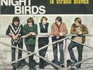 THE NIGHT BIRDS - LA STRADA BIANCA - 1966 BEAT GARAGE ROCK - PICTURE SLEEVE RARE