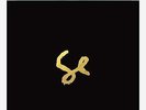 Sylvan Esso SelfTitled Debut LP Coke Bottle Clear Vinyl Newbury Comics NEW Rare