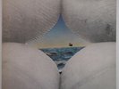 BRUCE COCKBURN - SALT, SUN AND TIME true north TN - 16 LP 33 giri CDN 1974