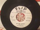 THE DREAMERS 45. Since You've Been Gone FLIP orig PROMO great copy RARE Doo Wop