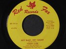 TERRY LEE: Hey Baby, Hey Sugar / Part Iii 45 (wild two-sider   instro on the fl