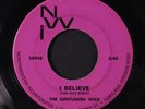 GENTLEMEN WILD: You Gotta Leave / I Believe 45 (closer to VG+, nice copy, Garag