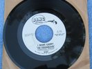 The Strangeloves  - I Want Candy/It's About My Baby -  US Promo 45 rpm 7