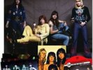 The Sweet-Fox On the Run  Vinyl / 12