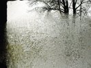 For Emma Forever Ago (Vinyl) [VINYL] Bon Iver Vinyl