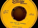 Sonny Burns: Powder and Paint, Too Hot to Handle, Starday 118, 1953 Rockabilly
