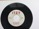 ? MICKEY LEE LANE 'Hey Sah-Lo-Ney' Northern Soul 45 HEAR