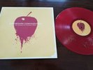 The Shade of Poison Trees by Dashboard Confessional (Vinyl, Mar-2011, Cobraside)