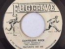 The Fugitives Ft. Joe Joe ?– Cantelope Rock/The Lecture (TOP ROCKSTEADY) ? HEAR