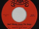 Rockabilly Exotica 45 - Norman (Arab) Sands - Don't Wanna Leave - Warwick - VG+