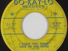 Doo-Wop 45 - Dynamics - I Guess You Don't Love Me - Do-Kay-Lo - mp3