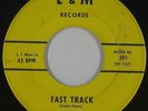 Rockabilly Inst. 45 - Sting Rays - Fast Track - L & M - mp3