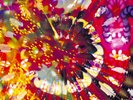 Caribou Vibration Ensemble live LP rare with giant poster Four Tet Sun Ra jazz