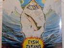 Steve Hillage- Fish Rising (1979) Virgin Int'l  VI 2031 Vinyl LP **SEALED** c/o