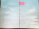 Wire Pink Flag Vinyl Rare