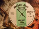 FABINE Prophecy TRIBES MAN Killer Female Roots Reggae 12” HEAR L25