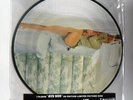 Mylène FARMER : BLEU NOIR (PICTURE DISC) - Double LP Edition limitée