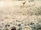 Wolf Vostell 