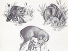 SMOKEY THE BEAR Fire Prevention Radio Spots PSAs EP RECORD w/ Aretha Franklin