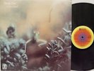 STEELY DAN - Katy Lied LP (RARE UK Import on ABC Records w/Lyric Inner)