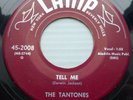 the TANTONES doowop LAMP strong VG+ 45 TELL ME b/w SO AFRAID PJ221