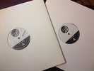 DAVID BOWIE THE NEXT DAY 2LP 12