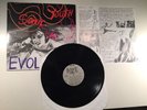 Sonic Youth Evol - Vinyl Record LP 1986 1st Press Destroy All Record Labels Etch