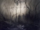 Opeth ?– Blackwater Park 2 × Vinyl, LP, Reissue, 180 gram