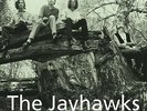 JAYHAWKS/TOMORROW THE GREEN GRASS (180GRAM)